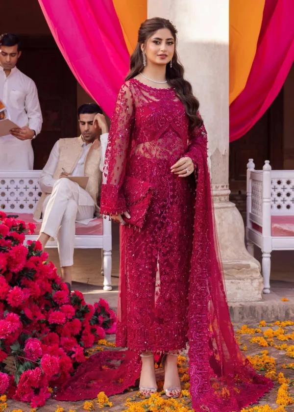 Material Chikankari Lawn CTN Organza SH - Image 2