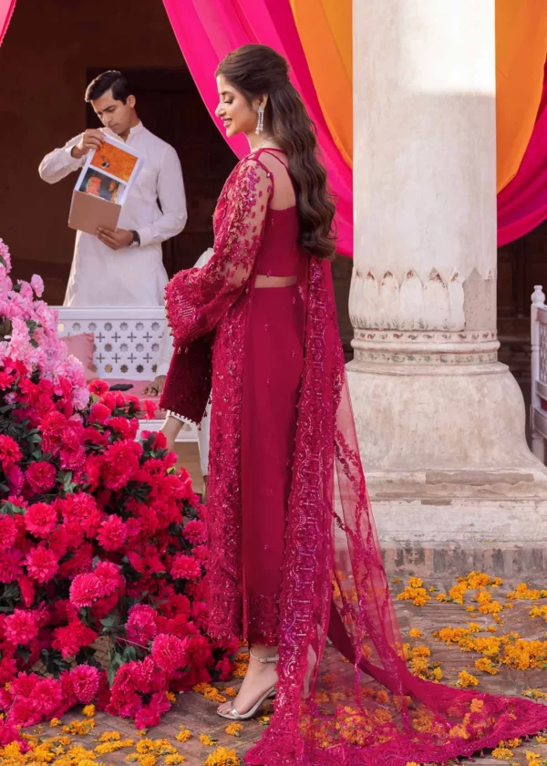 Material Chikankari Lawn CTN Organza SH - Image 3