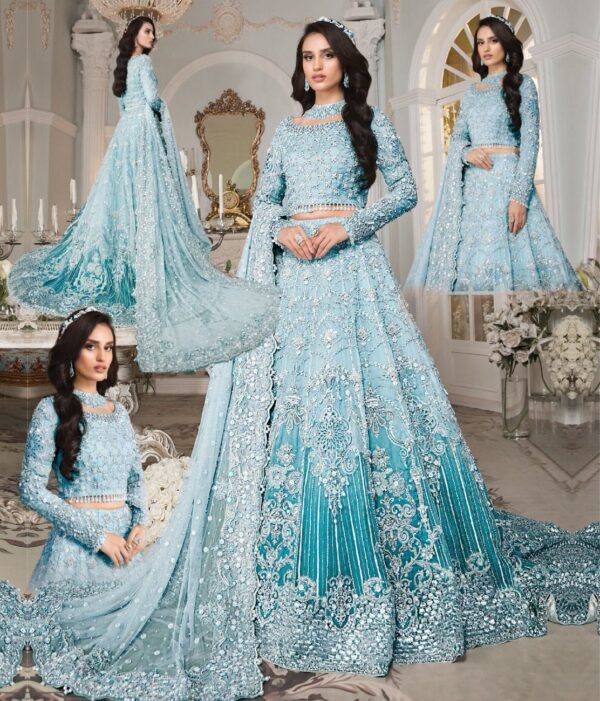 Brand: Maria B net bridal maxi-SK