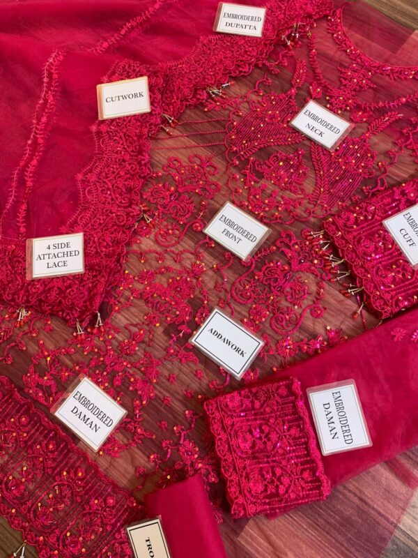 Material Chikankari Lawn CTN Organza SH - Image 4