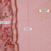 PREMIUM LAWM COLLACTION SH-10 - Image 2