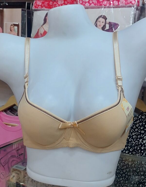 Imported Butterfly with steel ring Bra - Image 19