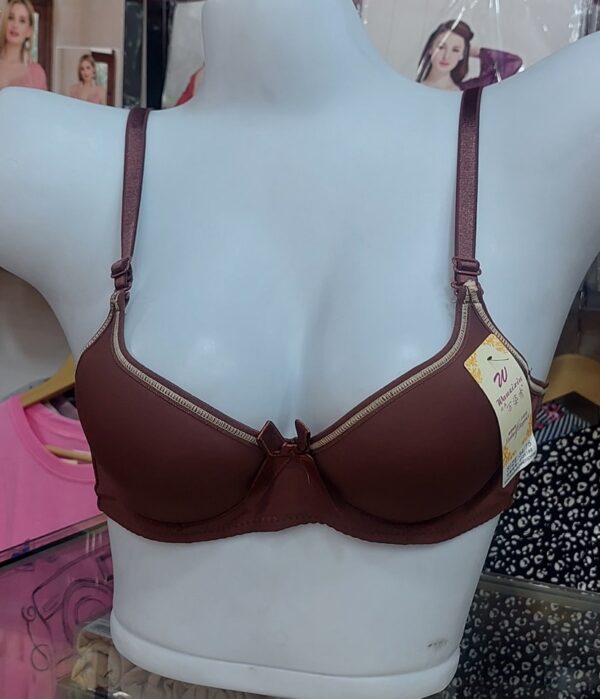 Imported Butterfly with steel ring Bra - Image 20