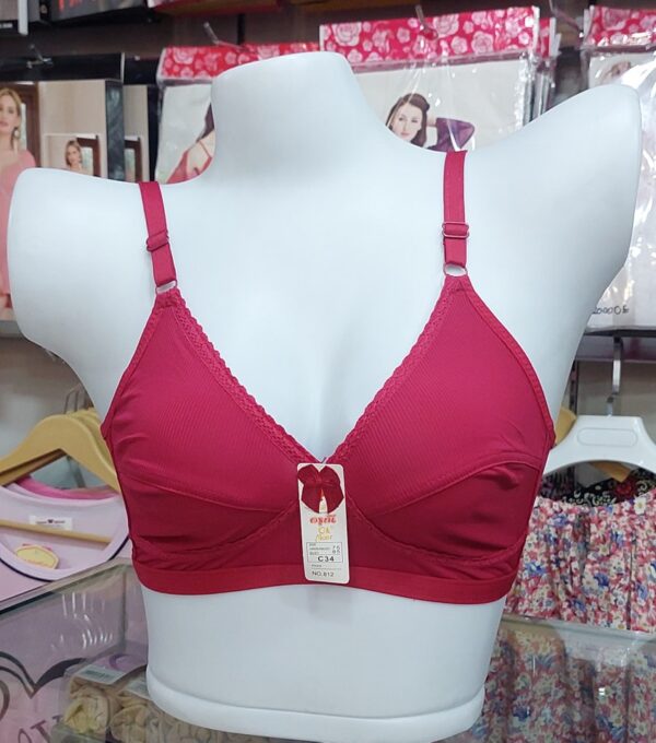 Thin style soft support small chest Bra-1 - Image 3