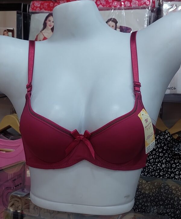 Imported Butterfly with steel ring Bra - Image 3