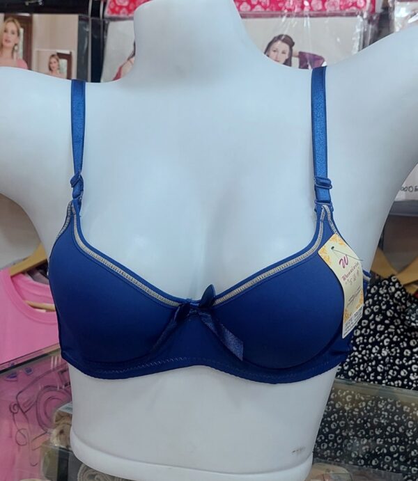Imported Butterfly with steel ring Bra - Image 21
