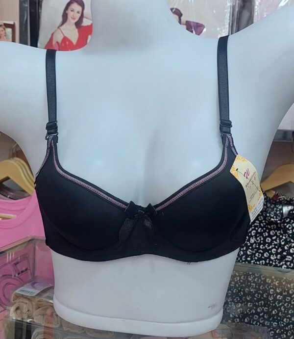 Imported Butterfly with steel ring Bra - Image 22