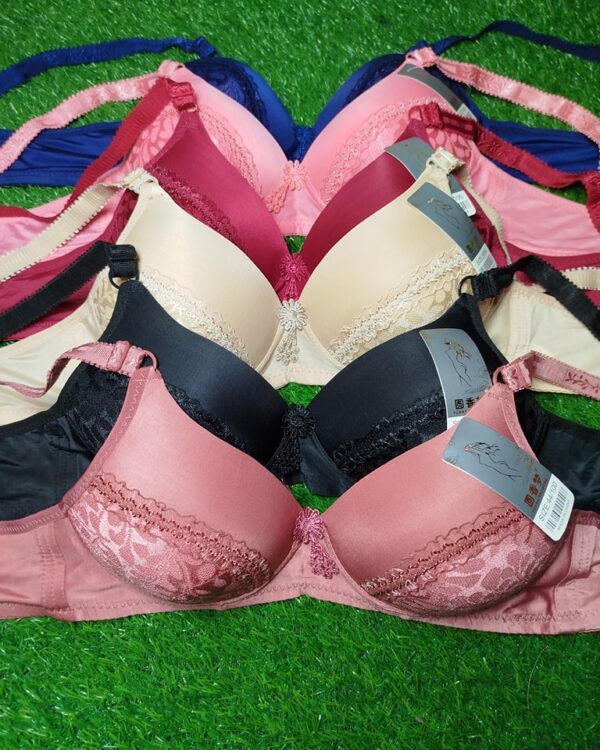 Imported Butterfly with steel ring Bra - Image 24