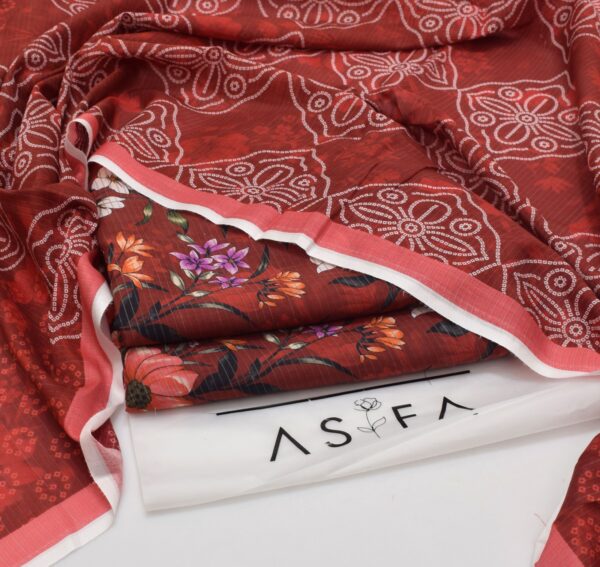 ASIFA NABEEL DIGITAL PRINTED All OVER-AS3 - Image 2